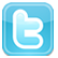 icon Twitter logo